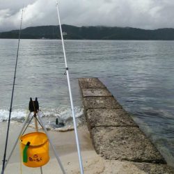 宮津江尻でピンギスラッシュ